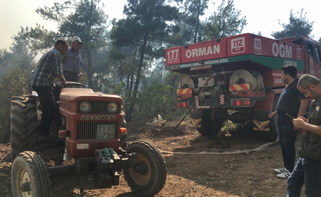 Bilecik'te çıkan orman yangını kontrol altına alındı