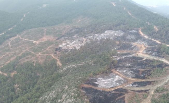 Bilecik'te soğutma çalışması süren ormanlık alandaki yangın yeniden alevlendi