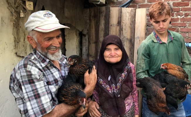 Büyükşehir’den yüzde 50 hibeli tavuk desteği 