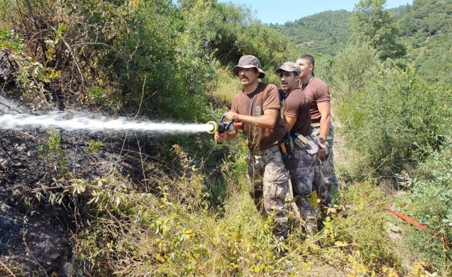 Kocaeli'de orman yangını