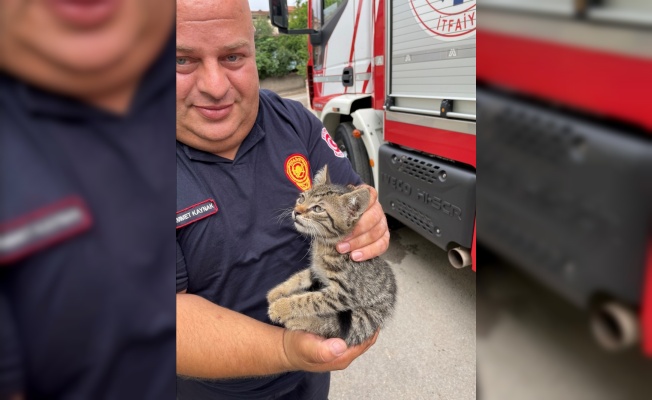 Kedi yavrusunu itfaiye kurtardı