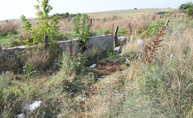 Boş arazide kemik parçaları bulundu