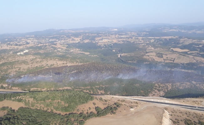 GÜNCELLEME - Balıkesir'in Savaştepe ilçesinde orman yangını çıktı