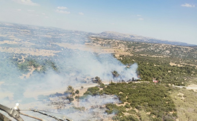 GÜNCELLEME - Çanakkale'de ormanlık alanda çıkan yangın kontrol altına alındı