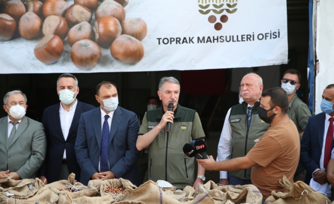 TMO Genel Müdürü Ahmet Güldal'dan fındık alımı değerlendirmesi: