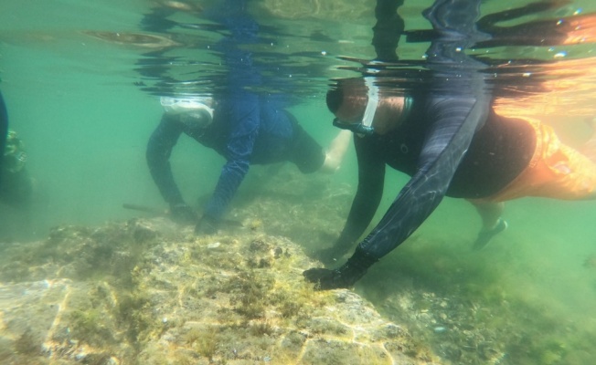 Yalova'daki su altı kazıları tarihe ışık tutacak