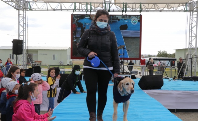 Edirne'de kedi ve köpek güzellik yarışması düzenlendi