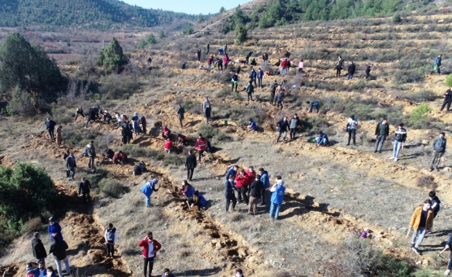 Eskişehir ve Bilecik'te binlerce fidan toprakla buluştu