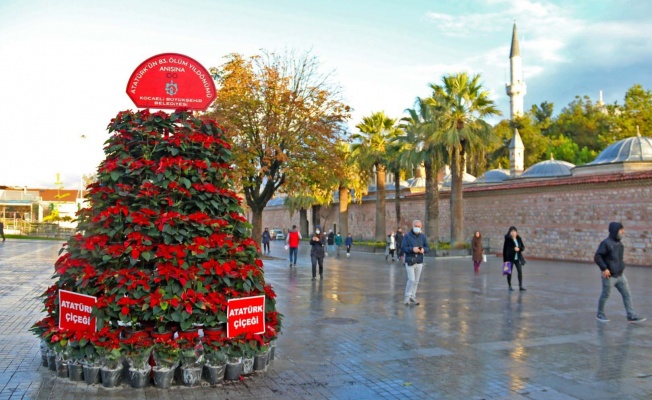 Kocaeli Atatürk çiçekleriyle süslendi