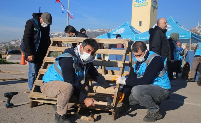 Atık ahşap paletler sokak hayvanlarına yuva oldu