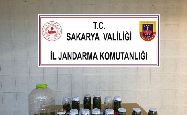 Sakarya'da 4 kilo 200 gram kubar esrar ele geçirildi