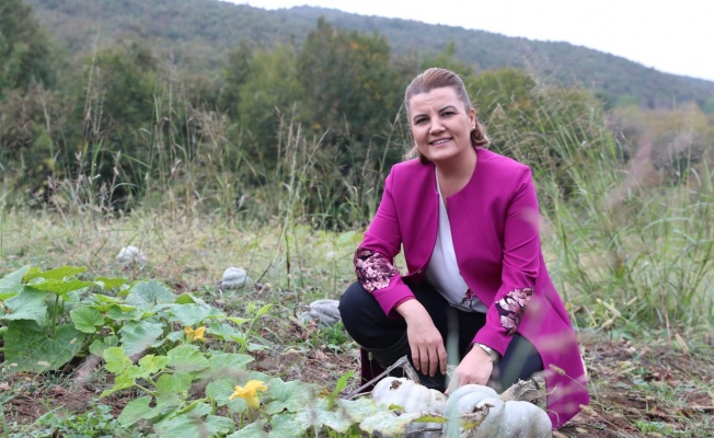 İzmit Belediyesi, bal kabaklarının   hasadını gerçekleştirdi