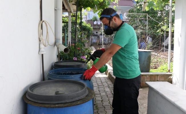 Sivrisinekler durgun sularda ürer