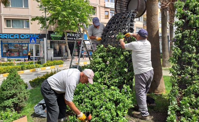 Darıca’da Kurban Bayramı öncesi hummalı çalışmalar