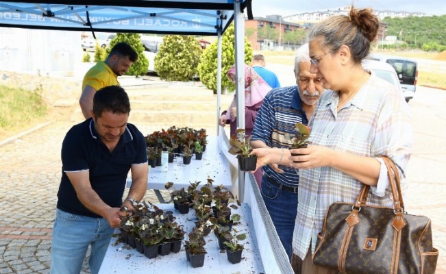 Kocaeli bayramda 'çiçek' gibi