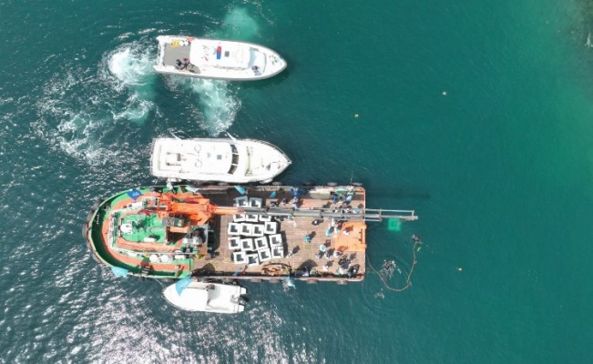 Kocaeli'de balıkçılığa yapay resif desteği... İlk resifler bırakıldı