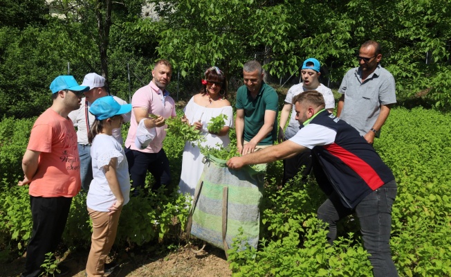 Özel çocuklar sebze ve aromatik bitki yetiştiriyor