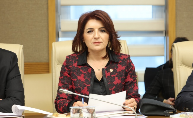 CHP Milletvekili Gülcan Kış: Yetersiz Uçaklarla Yangınları Söndüremezsiniz