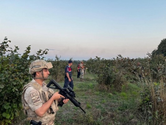 Jandarma fındık tarlalarında nöbette