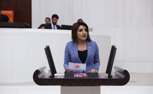 CHP Milletvekili Gülcan Kış: Esnaf Kepenk İndiriyor, Şirketler Batıyor