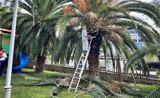 Dilovası’nda parklara bakım ve onarım çalışmaları