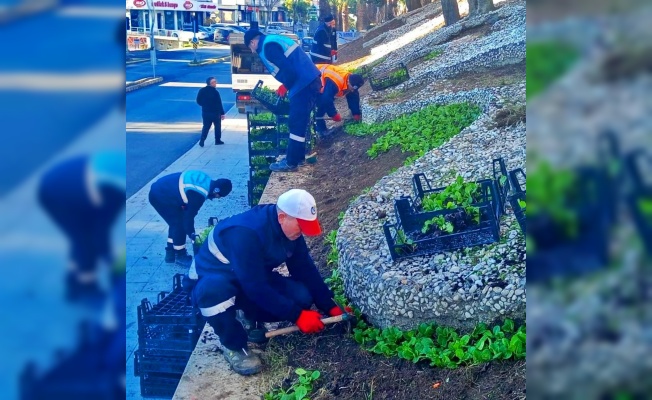 Gebze çiçeklerle donatılıyor!