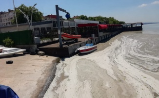 İzmit Körfezi'nde  müsilaj temizliği