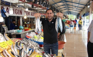 Bandırma Su Ürünleri Hali'nde balık bolluğu yaşanıyor