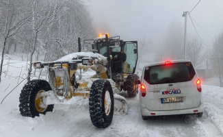 Sakarya ve Kocaeli'nin yüksek kesimlerinde kar etkili oluyor