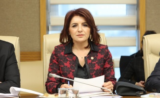 CHP Milletvekili Gülcan Kış: Yetersiz Uçaklarla Yangınları Söndüremezsiniz