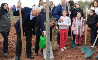 Milli Ağaçlandırma Günü;  Gebze’de fidanlar toprakla buluştu